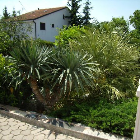 Apartmans Nadin Umag Dış mekan fotoğraf